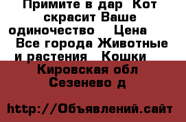 Примите в дар. Кот скрасит Ваше одиночество. › Цена ­ 0 - Все города Животные и растения » Кошки   . Кировская обл.,Сезенево д.